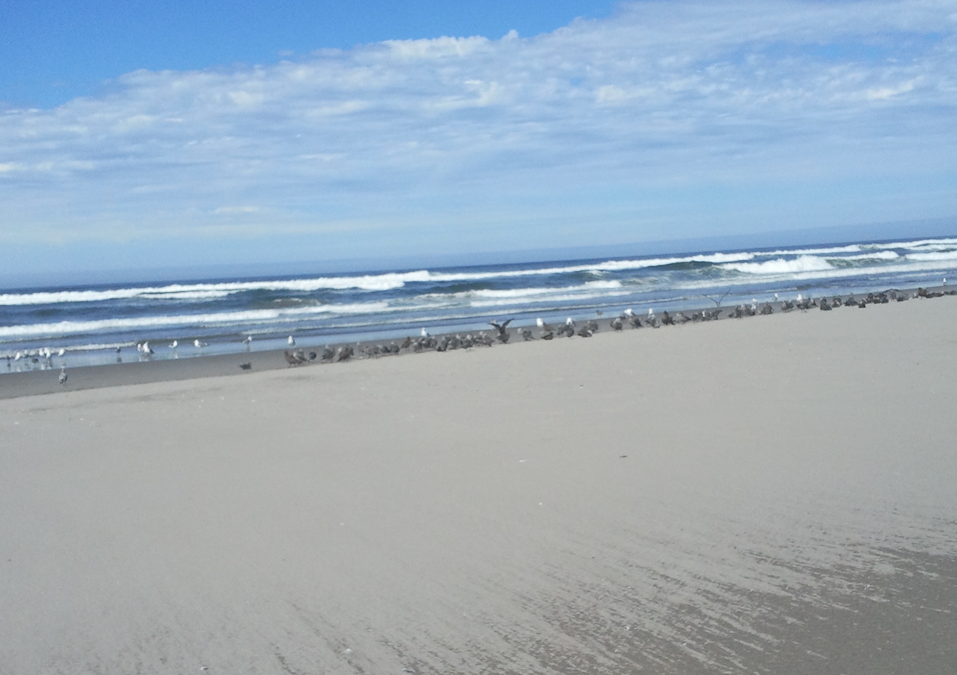 Beach Scene