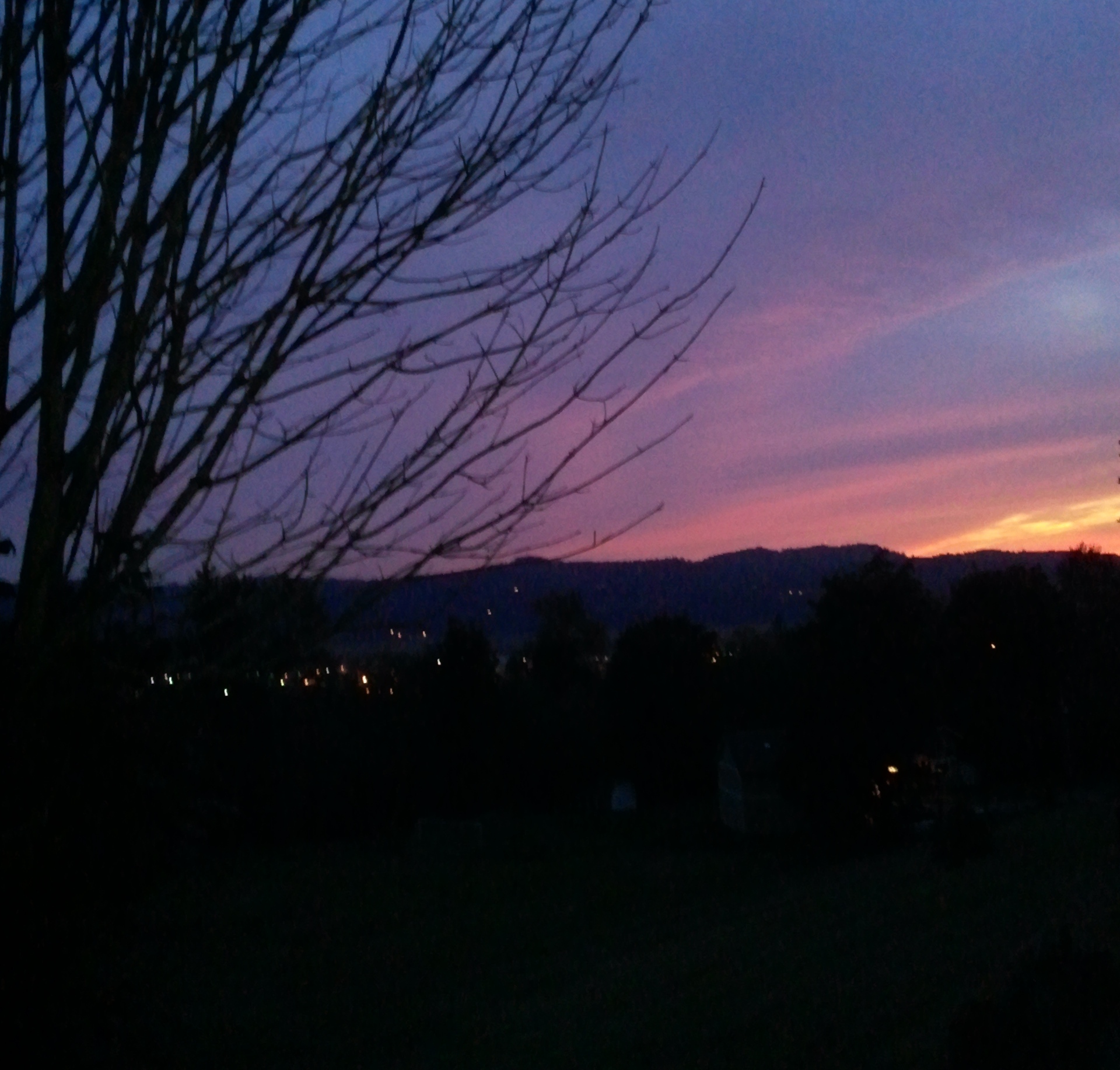 Night Lights at Sunset