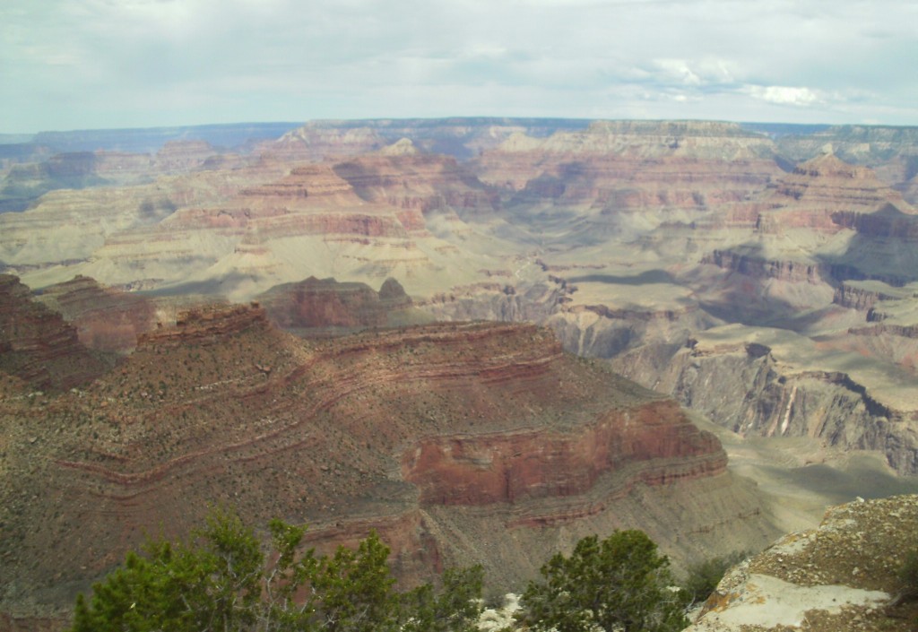 Grand Canyon North Rim Beauty Grand Canyon North Rim Beauty