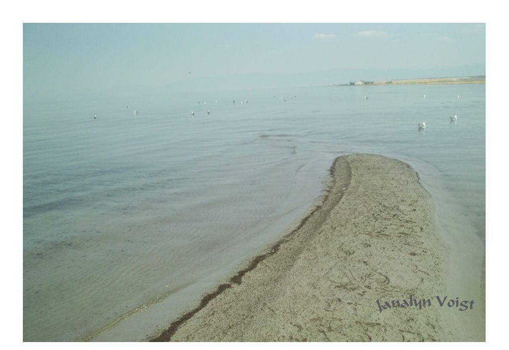 Great Salt Lake © Janalyn Voigt Great Salt Lake © Janalyn Voigt