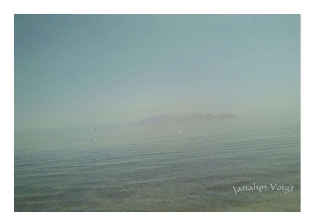 Misty Isle in the Great Salt Lake © Janalyn Voigt Misty Isle in the Great Salt Lake © Janalyn Voigt