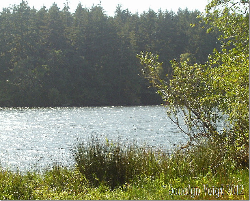 Lake at Fort Stevens State Park Lake at Fort Stevens State Park
