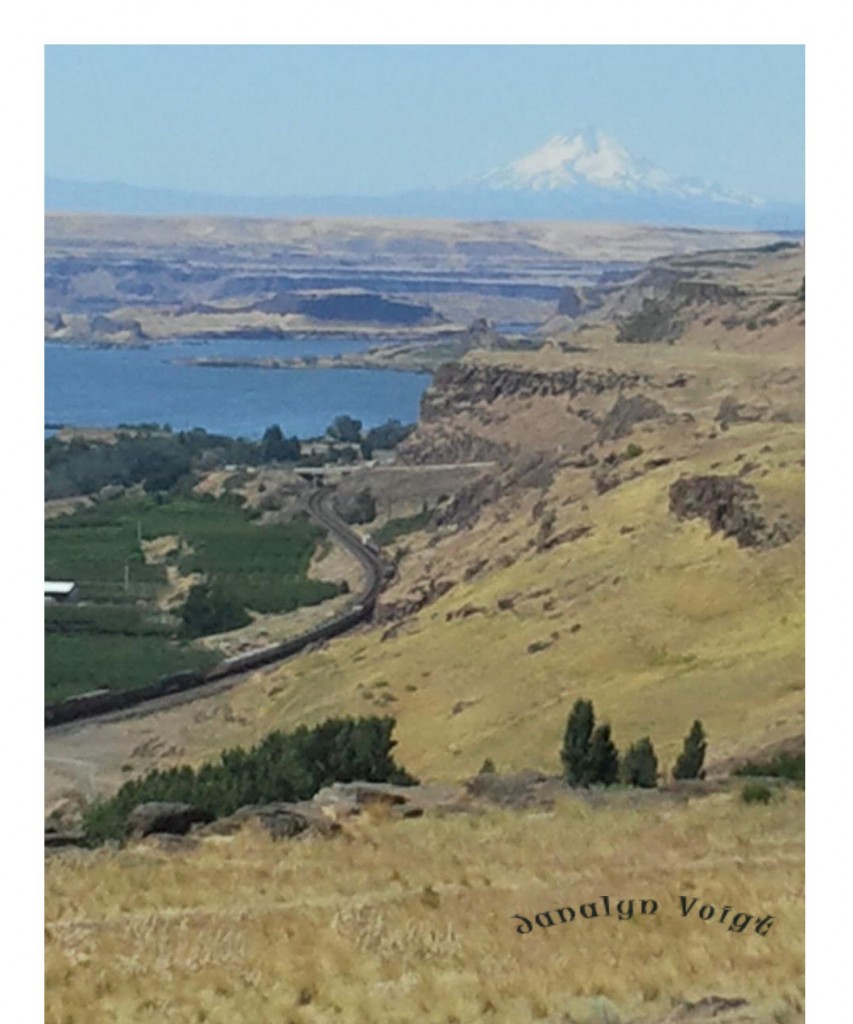 Mt. Hood from Columbia Gorge @Janalyn Voigt Mt. Hood from Columbia Gorge