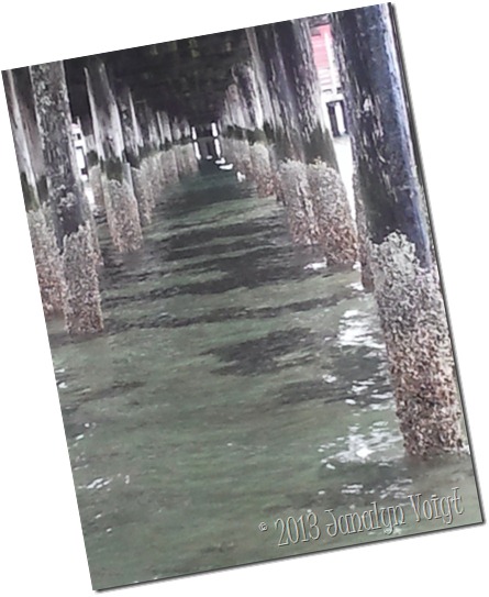 Beneath Coupeville pier