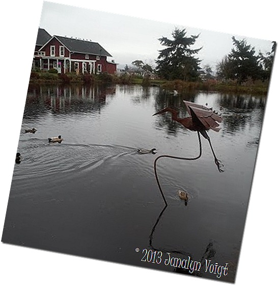Farm pond with Heron