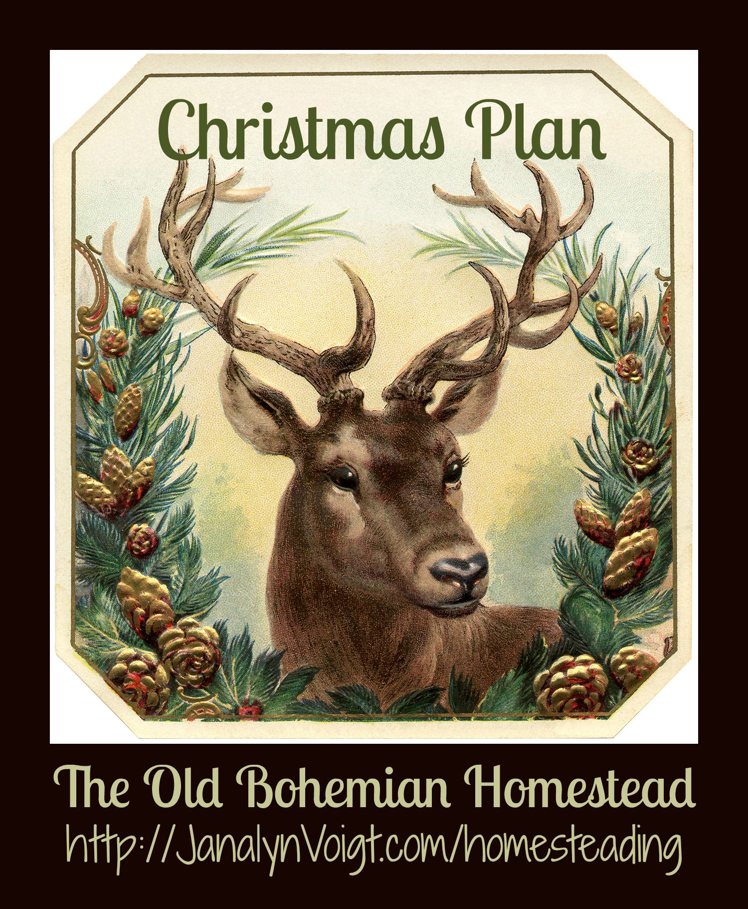 Old Bohemian Homestead Christmas Plan from Janalyn Voigt