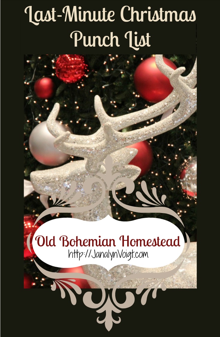 Last-Minute Christmas List via Janalyn Voigt | Old Bohemian Homestead
