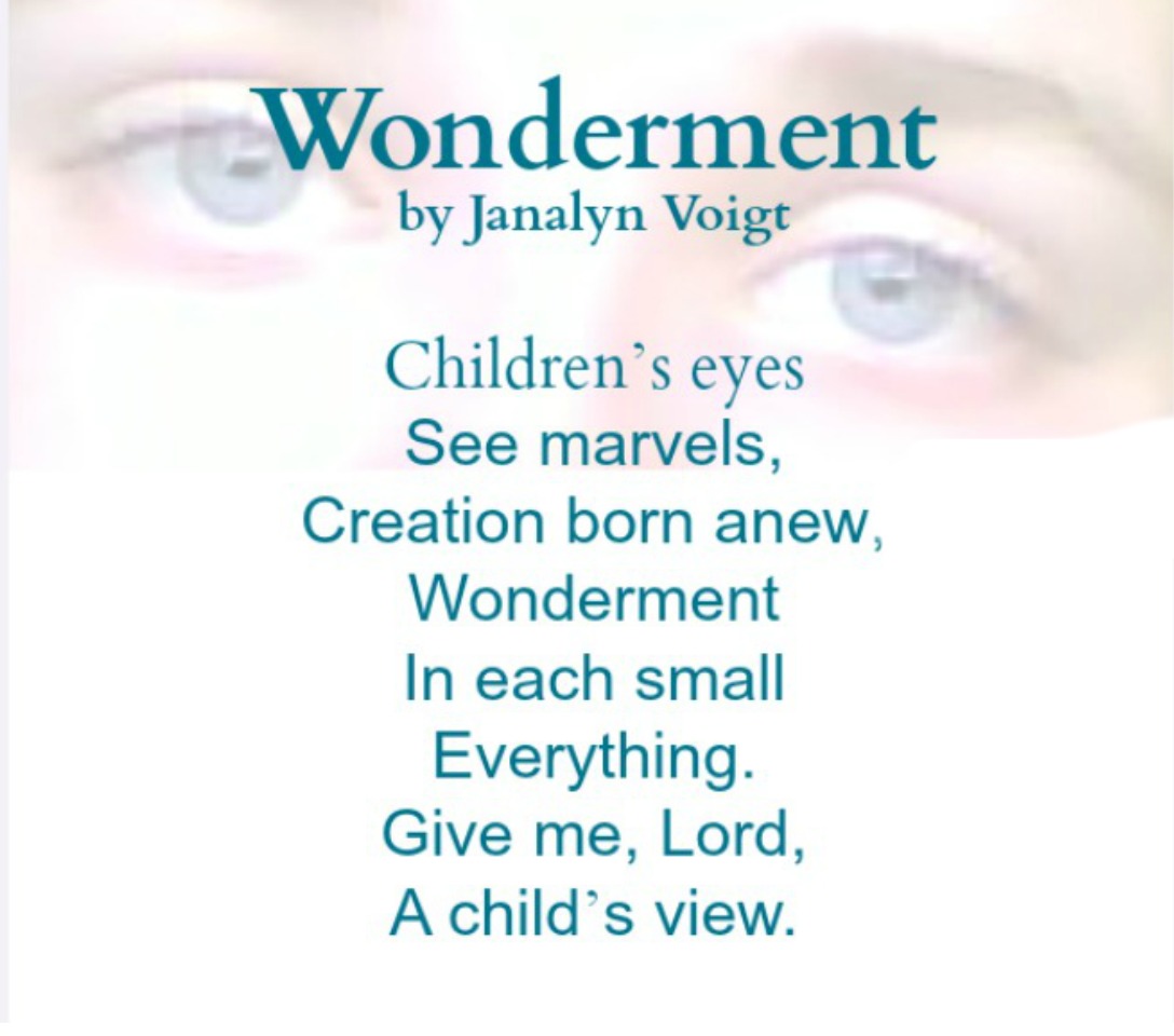 Wonderment by Janalyn Voigt