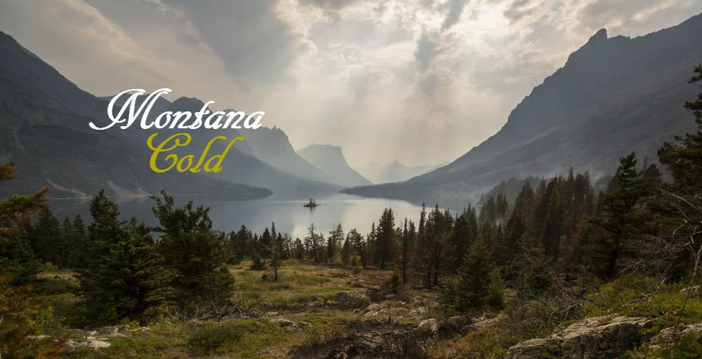 Montana Gold western historical romance series by Janalyn Voigt